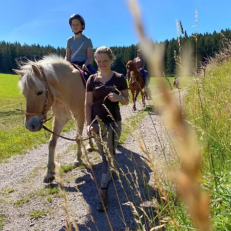 Lejlighed Ferienhof-gerda-ferienwohnung-sternenhimmel Oberkirnach